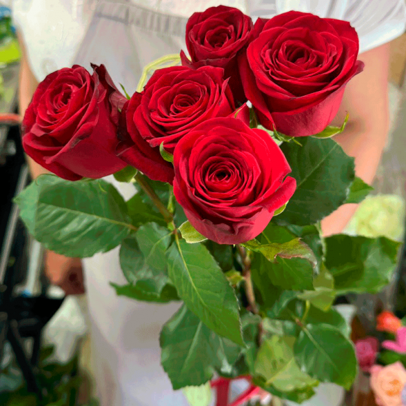 5 красных роз в Алуште