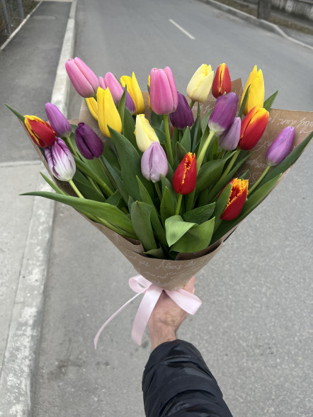 25 тюльпанов микс в упаковке в Алуште