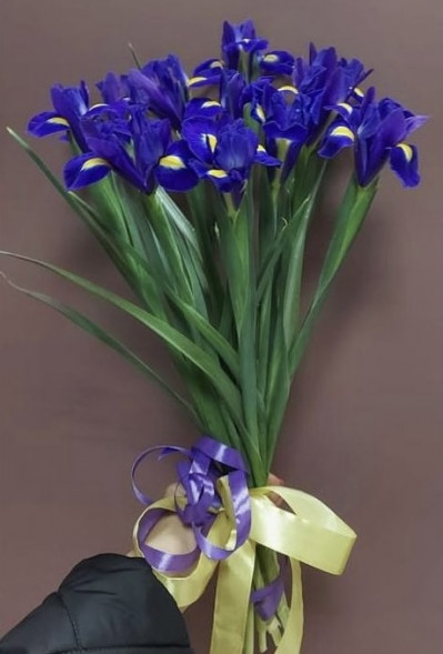 Букет 11 ирисов  в Алуште