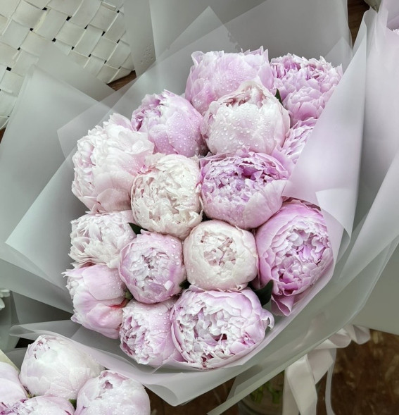 15 пионов Сара Бернар в Алуште